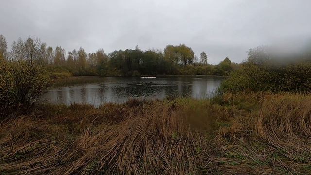 Пропали гуси .... [Жизнь в деревне ] смотреть онлайн