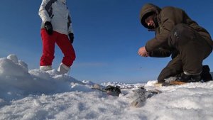 РЫБАЛКА С НАМИ НА ОЗЕРЕ ТАВАТУЙ! РЫБАЛКА НА БАЗЕ, ШАШЛЫК, СЕМЕЙНЫЙ ОТДЫХ В ДАЛИ ОТ ГОРОДСКОЙ СУЕТЫ!