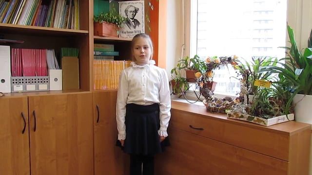 Страна читающая — Арина Солодовникова читает произведение «Весенние воды» Ф. И. Тютчева смотреть онлайн