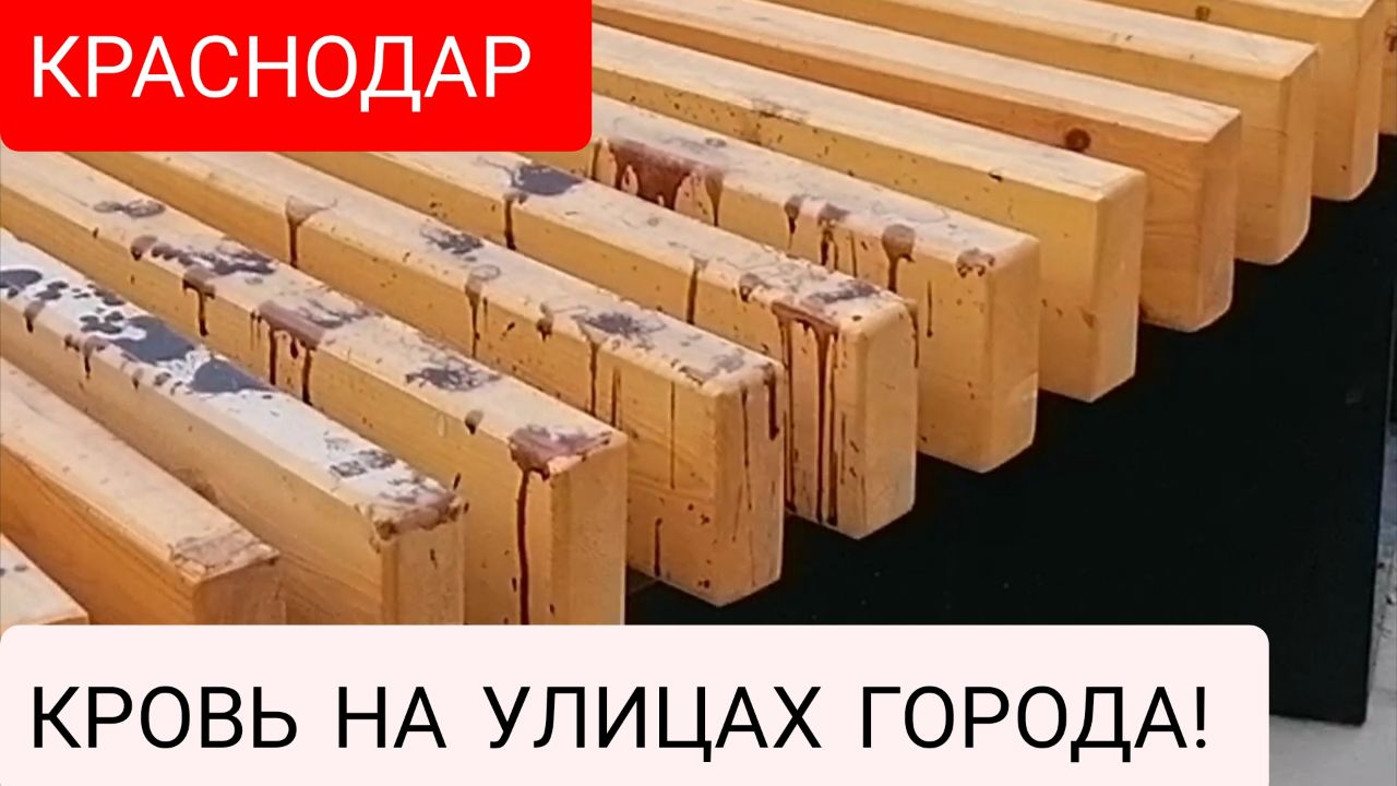 Краснодар. Кровь на улицах города, рассуждения о жизни…