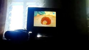 Дора Дора помодора