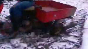 Моторолер  Муравей