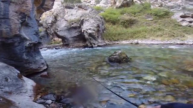 Макс байке в деле ) Горная рыбалка в Кыргызстане. Ловим форель!