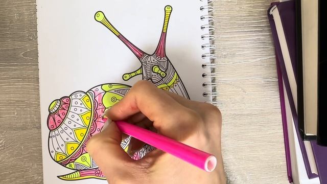 Раскраска улитка смотреть онлайн