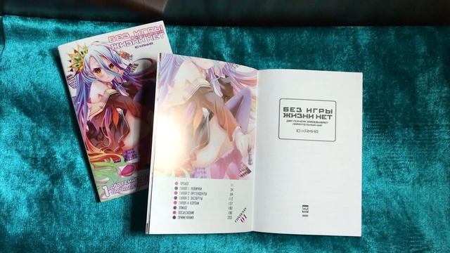 Обзор ранобэ NGNL 1 томик || ака No Game No Life || ака Нет Игры Нет Жизни || ака Без Игры Жизни Не