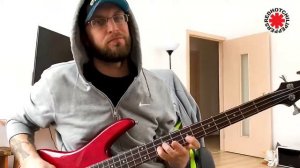 RHCHP - Californication (Bass cov. first verse)