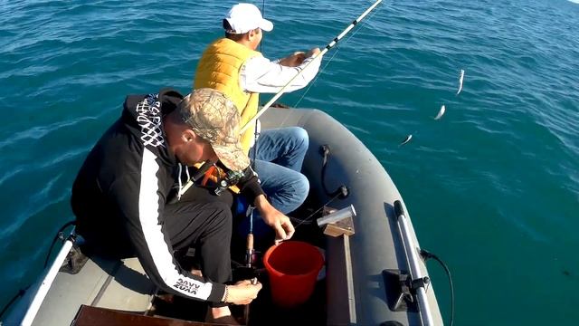 ВЕЧЕРНЯЯ СТАВРИДА, НЕ ОСТАВЛЯЕТ ВРЕМЕНИ ДЛЯ ПЕРЕКУРА. СРАВНЕНИЕ С УНРЯНКОЙ!!! часть 2. смотреть онлайн