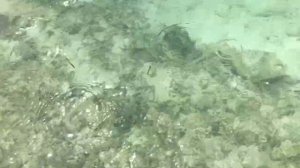 MALDIVES - KUREDU ISLAND RESORT & SPA 2017 - iPhone 7plus + GoPro 6 Black