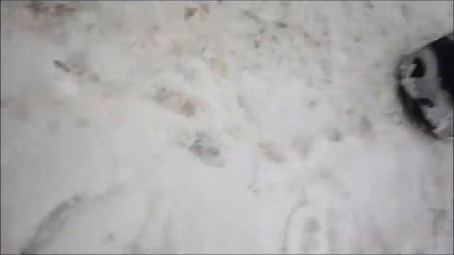 гоп стоп смотреть онлайн