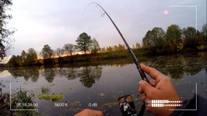 Октябрьский микроджиг. Меняю акватории в поисках рыбы. Team Dubna Backwater
