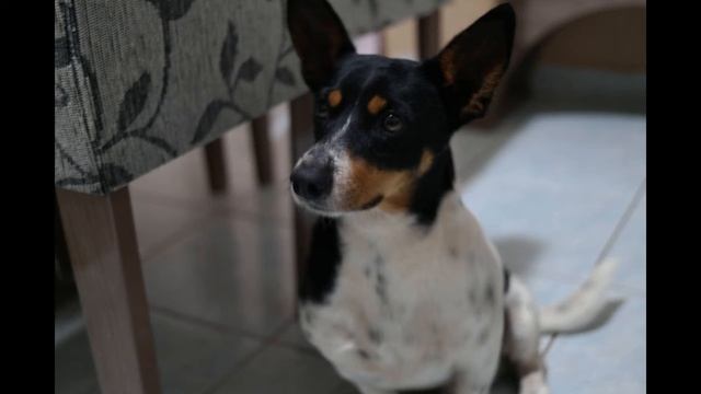 Samsung NX - Unboxing da Lente  EX-S30NB 30MM F2.0 Primeiras impressões смотреть онлайн