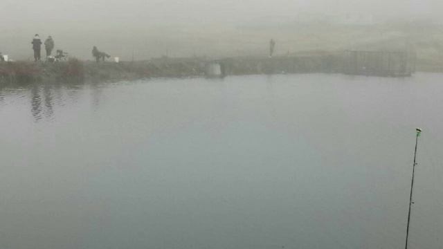 06.11.18. Фото отчёт рыбалки в Кокино смотреть онлайн