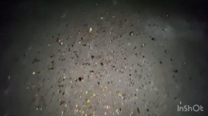 Встречаем Новый год 2024