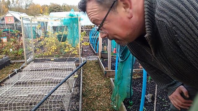 UK Allotment ~ Winter Jobs ~ FREE ~ Woodchip Paths And Cardboard Weed Blockers смотреть онлайн