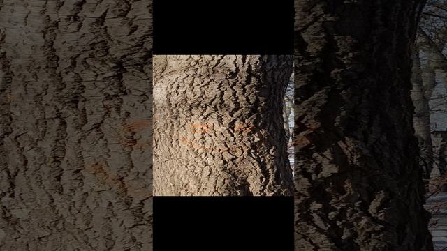Улыбайтесь, это всех раздражает