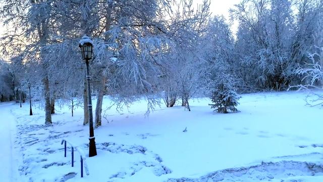 САМВЕЛ И СВИДАНИЕ ТРЕХ ТЮЛЕНЕЙ В САУНЕ смотреть онлайн