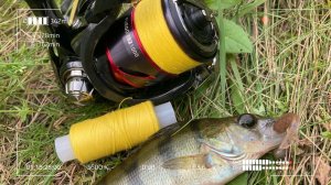 Швейная нитка вместо шнура и лески в спиннинге. Эксперимент на рыбалке.