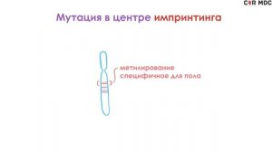 Синдром Прадера-Вилли - механизм развития, причины, клинические проявления