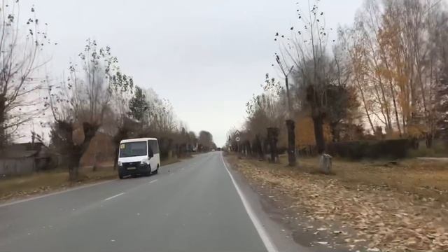 Осень. -8 градусов на дворе//Охота.Уж замуж невтерпёж//Кролики 2021 года// смотреть онлайн