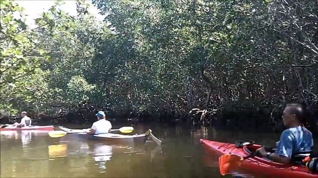 Deering point to hidden lake with the Miami Kayak club PART3 смотреть онлайн