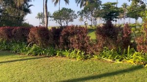 Taj Exotica Goa / Benaulim beach / Goa blog / Южное гоа