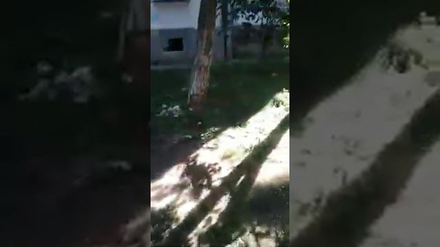 ПРОТЕЧКА НА УЛИЦЕ БЕЛА КУНА смотреть онлайн