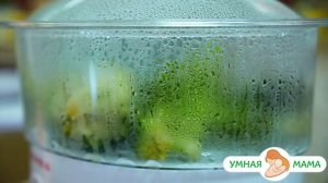 Пюре из капусты брокколи своими руками. Умная мама