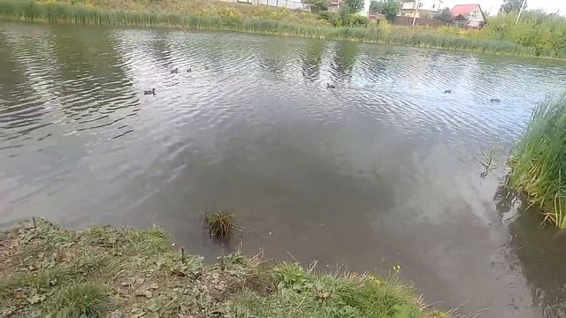 От первого лица: ЗАКОЛДОВАННОЕ ОЗЕРО / страшный ОЗЕРНЫЙ МОНСТР в реальной жизни смотреть онлайн