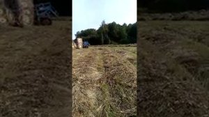 грабли ГВВ-6М. Чебаркульский район Челябинская область.