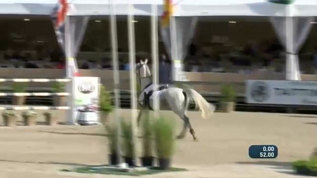 Cape Coral RBF Z (by Cornet Obolensky x Argentinus 2009)Sires of the World #stalhendrix #hxstallion смотреть онлайн