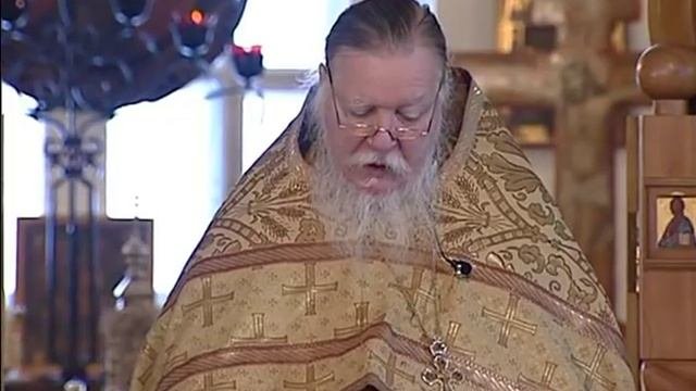 Протоиерей Димитрий Смирнов. Проповедь о человеке, который расстался с грехом
