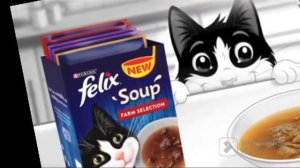 cat food #felix soup-best cat soup-طعام القطة-кошачья еда-la nourriture pour chat-pagkain ng pusa