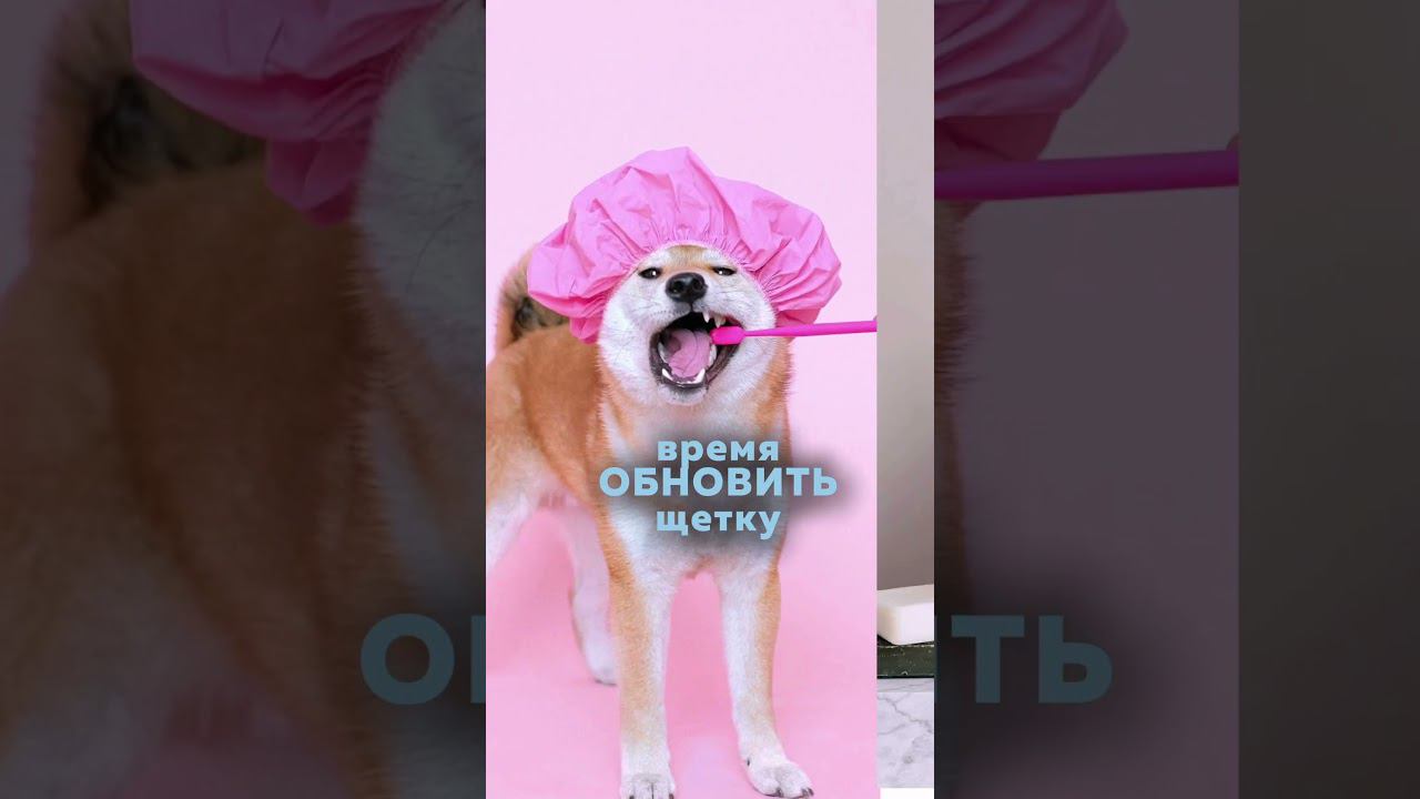 Зубная щетка  #гигиенаполостирта #протезированиезубов #обзор #тренды #топ #beauty #makeup #улыбка
