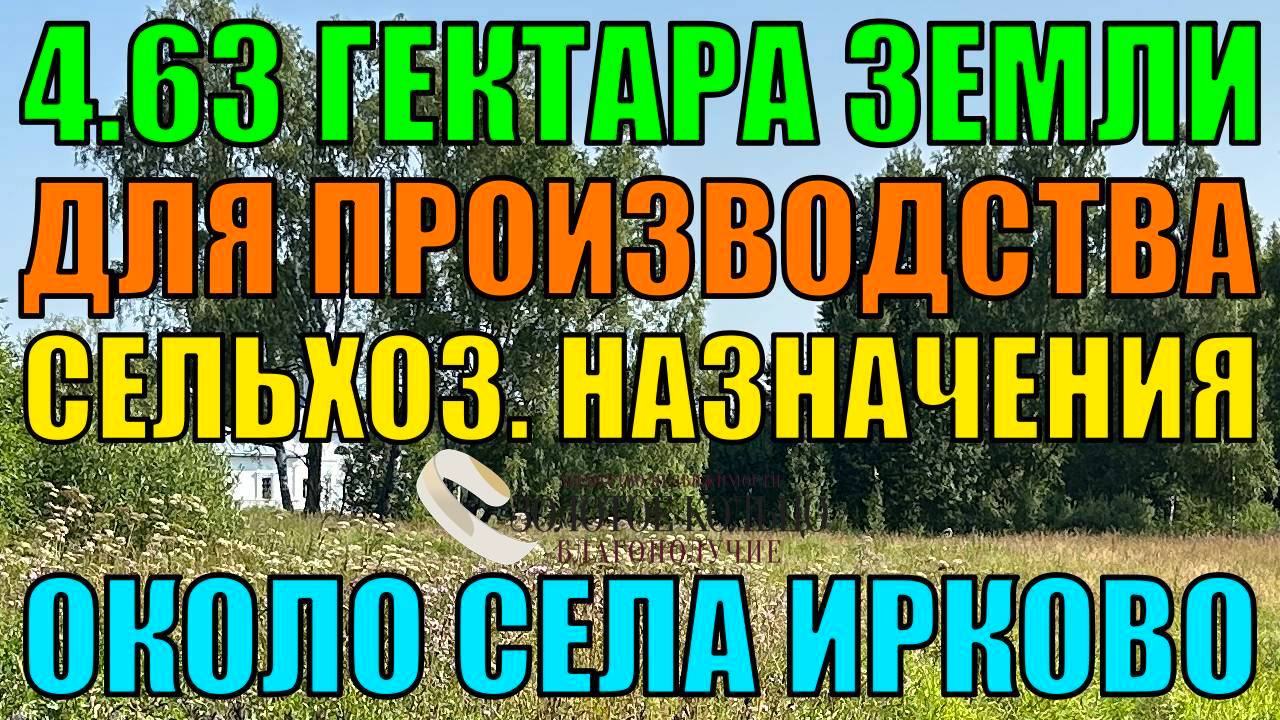 Участок 4.63 Га сельхоз. назначения около села Ирково, рядом с с. Андреевское, Александровский р-н