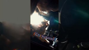 видео Симбы//_Симбочка Младший_(последняя часть)