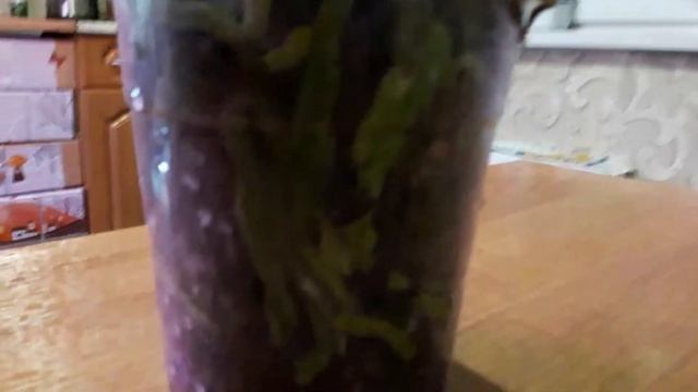 Завоз орхидей в Леруа Кемерово 5.11.19.Моя новая орхидея смотреть онлайн