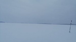 Рыбалка в Плесецком районе на Сямг озере