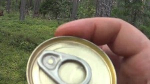 Обзорчик .  Рюкзак от сплава "РМ3"+тест дымовой шашки от комаров.