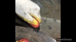 Сделал ножовку из старой двухручной пилы