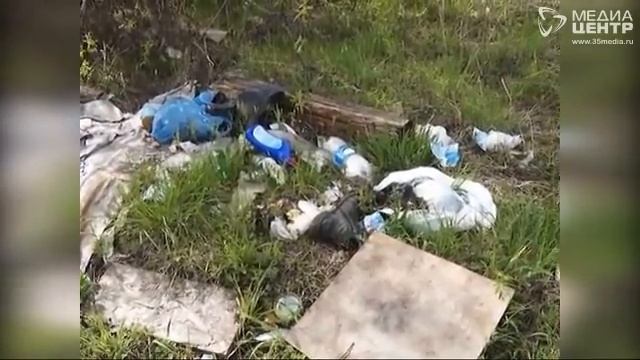 Экологи всего мира отметили свой профессиональный праздник смотреть онлайн