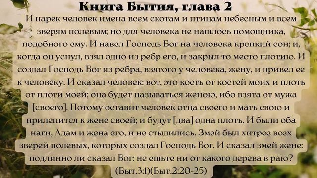 Чтения Священного Писания 22 марта 2024 с толкованием. Жития Святых. смотреть онлайн