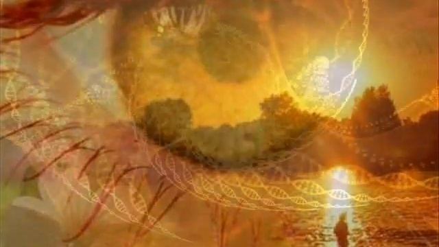 Колесо Жизни: Медитация "На базаре Жизни. Осознание ценностей" Инесса Кравченко. смотреть онлайн