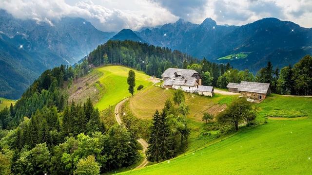 Цветы красиво распускаются под музыку! Сборник ЛУЧШИХ Мелодий от которых мурашки по телу #125 смотреть онлайн