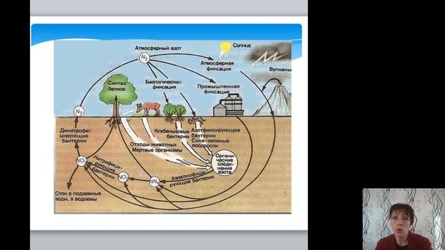 Видеолекция 3 Глобальная экология 7-8 кл. Постарнак Ю. А. смотреть онлайн