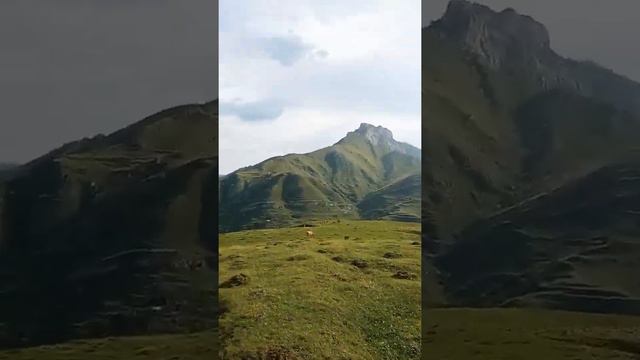 в горах Шамильского района