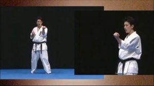 Ката Гекисай Дай | Kata Gekisai Dai