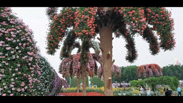 Dubai Miracle Garden 2019 прогулка по парку цветов смотреть онлайн