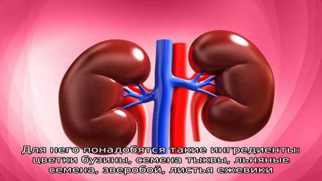 Как лечить песок в почках в домашних условиях