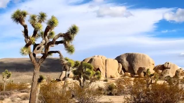 Вам предстоит стать надежными якорями-ченнелинг смотреть онлайн