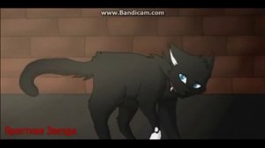 Коты - Воители Бич - Теперь мой друг нож старина ( Заказ )